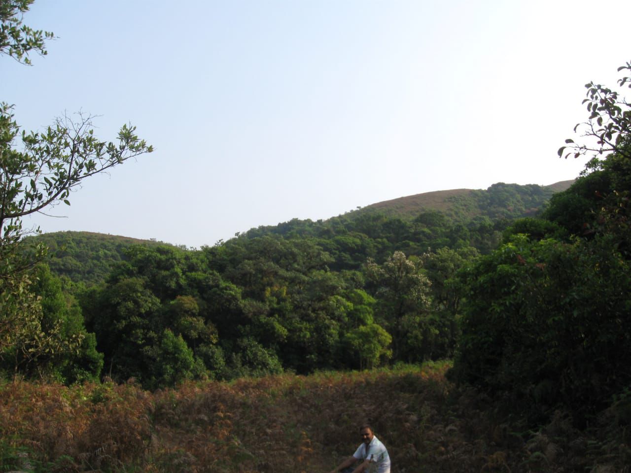 20 acre land for sale in Mudigere